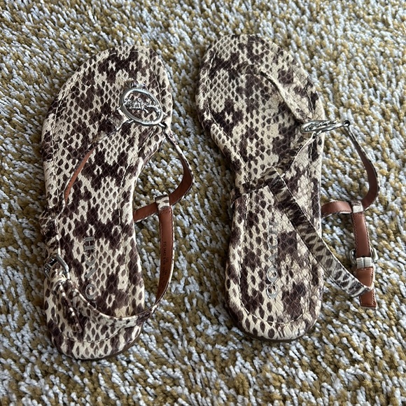 Coach - Picture 2 of 5